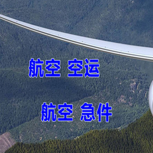 大武航空快递快递-选东方航空和上海航空